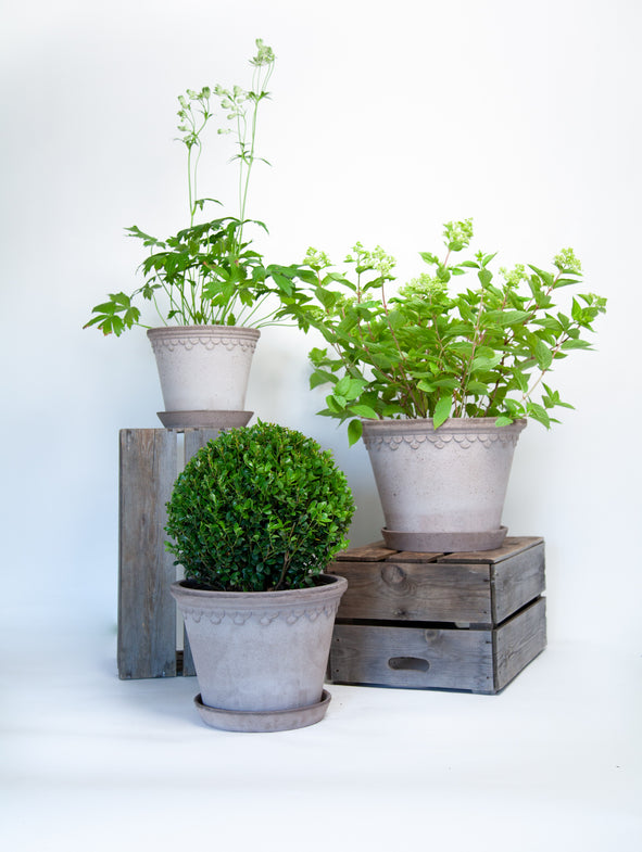 Copenhagen Grey - 3/set